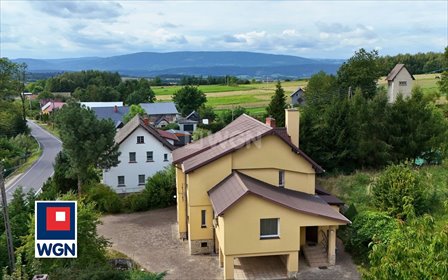 Sprzedam dom z sauną i basenem na dużej działce 3000 m² dom Idzików, Idzików