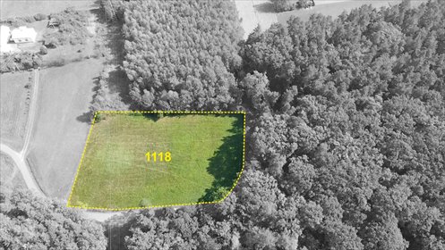 Polecam dużą działkę 6000 m² z lasem i potencjałem w Kobylance działka Kobylanka