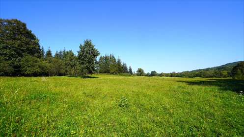 działka na sprzedaż 2930m2 działka Bednarka