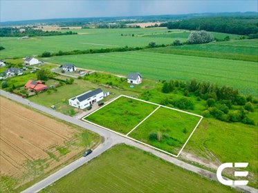 Dwie działki 2810 m² w Pęgowie, blisko lasu - polecam! działka Pęgów, Gajowa