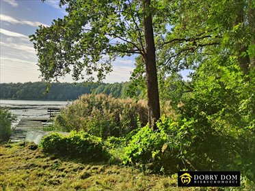 działka na sprzedaż 3984m2 działka Jeziorki