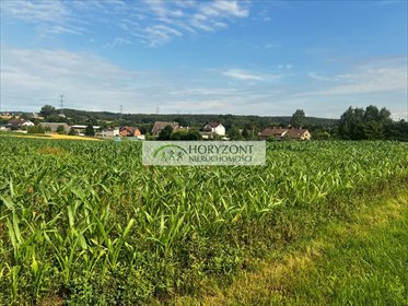 działka na sprzedaż 3000m2 działka Niestępowo