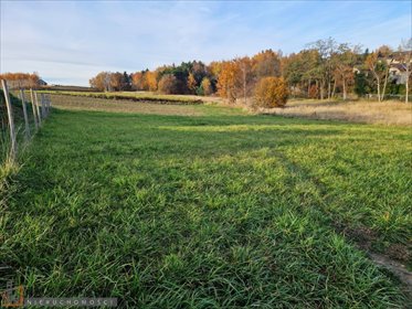 działka na sprzedaż 1334m2 działka Masłomiąca