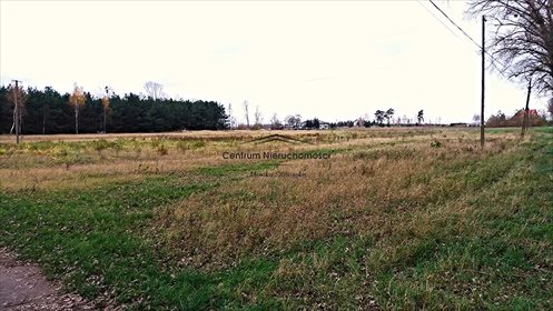 Działka rolna na sprzedaż Kokocko 16 500m2 Foto 1
