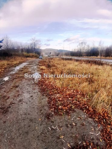 Działka inna pod dzierżawę Wałbrzych, Biały Kamień 1 300m2 Foto 4