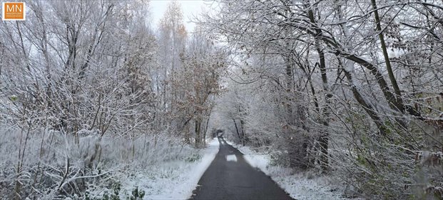 działka na sprzedaż 1558m2 działka Łuczyce, Pod Lasem