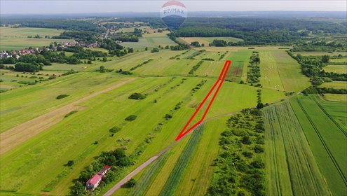 Działka rolna 4806 m² w Porębie – idealna na inwestycję działka Poręba, Niwki, Okopowa