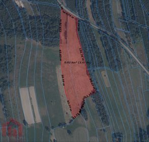 Działka inwestycyjna na sprzedaż Cierpisz 25 000m2 Foto 2
