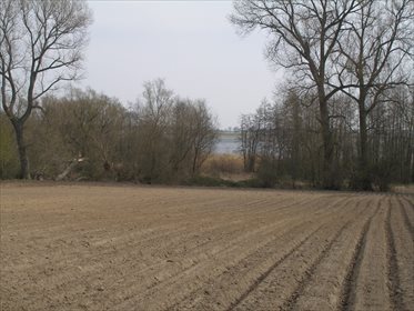 Do sprzedania działka 1 ha nad morzem w Korzęcinie działka Korzęcin