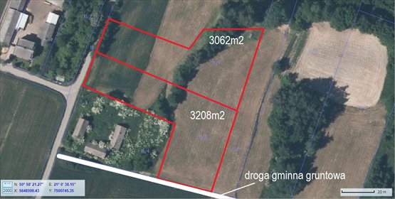Działka budowlana na sprzedaż Radkowice-Kolonia 4 651m2 Foto 7