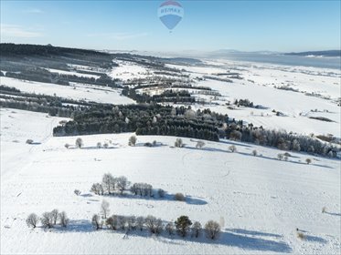 działka na sprzedaż 9236m2 działka Frydman