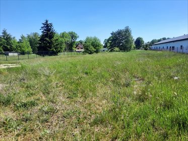 działka na sprzedaż 3500m2 działka Tanowo