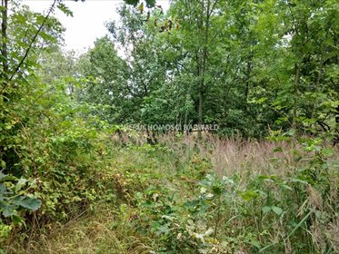 Działka budowlana na sprzedaż Gorzeń Górny 1 970m2 Foto 2