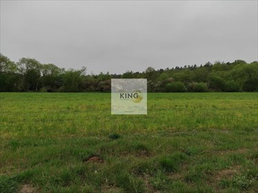 działka na sprzedaż 1271m2 działka Siedlice