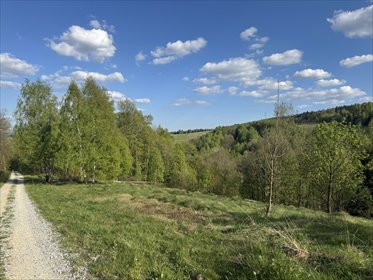 działka na sprzedaż 2700m2 działka Kamieńczyk