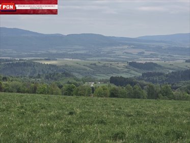 Urokliwa działka 16 ha z widokiem na Śnieżnik i Kotlinę działka Międzylesie