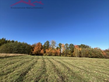 działka na sprzedaż 13800m2 działka Łaski