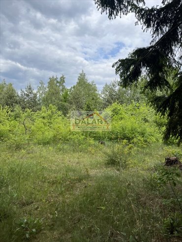 działka na sprzedaż 1500m2 działka Prace Duże