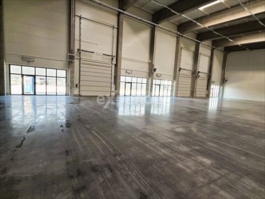 lokal użytkowy na wynajem 1610m2 lokal użytkowy Rzeszów, Dworzysko, Biznesowa