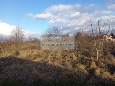 Działka 1450m² z mediami, MPZP, Brwinów (płaska, sucha) działka Brwinów