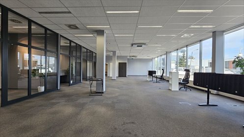 lokal użytkowy na wynajem 320m2 lokal użytkowy Poznań, Nowe Miasto, Jana Czochralskiego