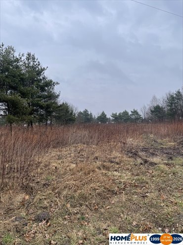 Działka budowlana 2261 m² z mediami, planem, polecam działka Radzymin