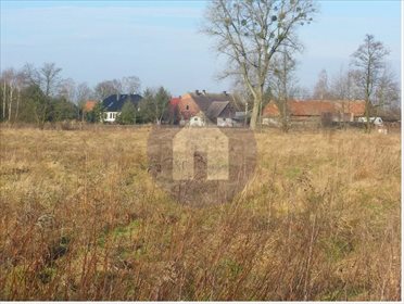 Działka budowlana na sprzedaż Biedaszków Wielki 923m2 Foto 3