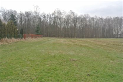 Działka budowlana na sprzedaż Mikołów, Borowa Wieś 2 256m2 Foto 1