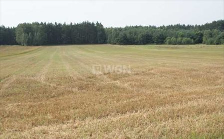 Działka budowlana na sprzedaż Sucha Górna, Sucha Górna 21 311m2 Foto 4