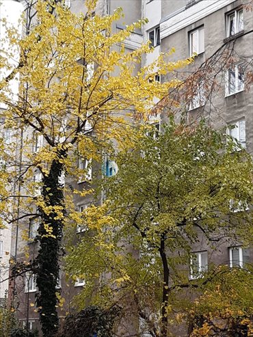 mieszkanie na sprzedaż 57m2 mieszkanie Warszawa, Ochota, Stara Ochota