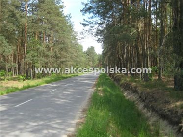 Na sprzedaż działka 3000 m² z mediami, pod zabudowę działka Kolonia Gościeńczyce