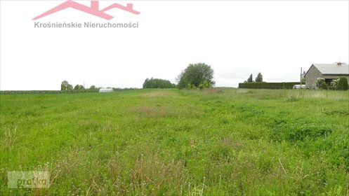 działka na sprzedaż 11300m2 działka Szczepańcowa