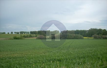 działka na sprzedaż 1200m2 działka Koiszków