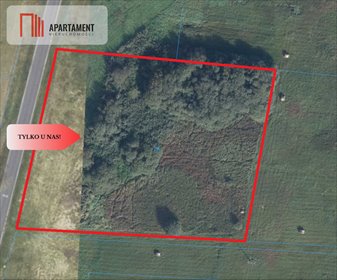 działka na sprzedaż 6700m2 działka Trzciel