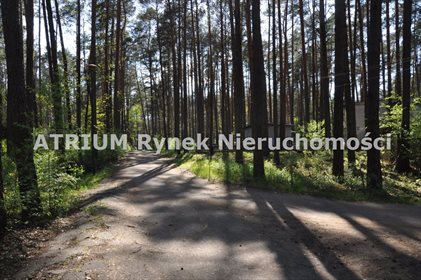 Lokal użytkowy na sprzedaż Biała 592m2 Foto 3