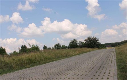 Działka rolna na sprzedaż Łódź, Widzew, Stare Moskule, Opolska 14 997m2 Foto 2