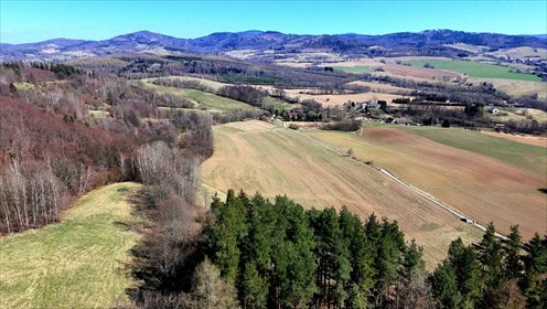 działka na sprzedaż 3063m2 działka Rogówek