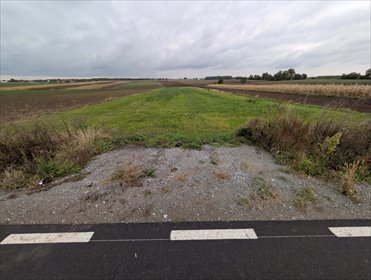 działka na sprzedaż 3773m2 działka Lisków, Strzałków, Małgów