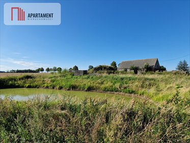 działka na sprzedaż 2600m2 działka Ustaszewo