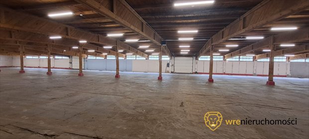 lokal użytkowy na wynajem 1000m2 lokal użytkowy Bolesławiec