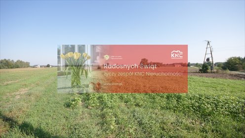 działka na sprzedaż 9800m2 działka Rudka Gołębska