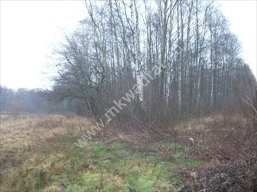 działka na sprzedaż 8700m2 działka Piotrkowice