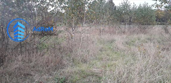 działka na sprzedaż 3890m2 działka Baciuty