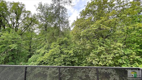 Przestronne 3-pokoje z dużym balkonem i widokiem na zieleń mieszkanie Świdnica