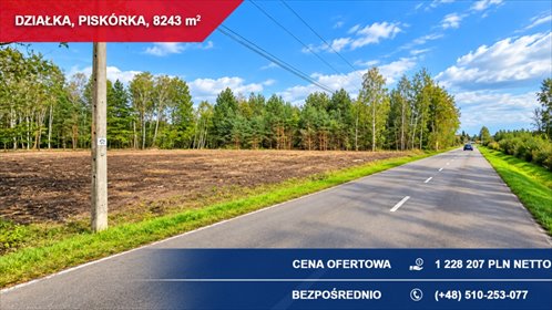 Zalesiona działka 8243 m² (media, asfalt) w Piskórce działka Piskórka, Jagodowa