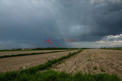 Działka rolna 7500 m² pod inwestycję w Podolszynie. działka Podolszyn Nowy
