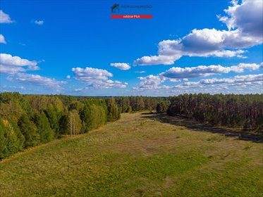 działka na sprzedaż 75141m2 działka Tarnowo