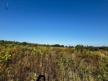 Polecam działkę usługowo-rekreacyjną 18 246 m² w Starym Imielniku działka Stary Imielnik
