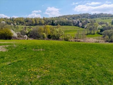 Działka 5190 m² z projektem domu i widokami na Kamesznicę działka Kamesznica