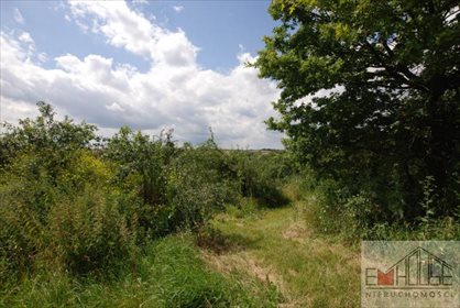 Dom na sprzedaż Marcinowo 140m2 Foto 6